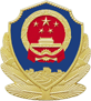 Public security filing icon